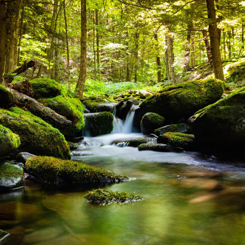 The River of Prosperity: Staying in Flow with Your Goals and Aspirations